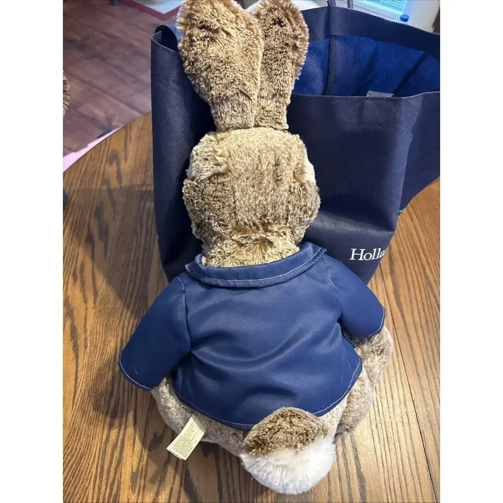 Peter Rabbit Plush Dan Dee Collector's Choice 2021 - Picture 3 of 7